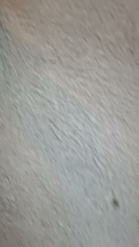 Opinii despre Acevedo pan & café în Montevideo - Gastronomía y hostelería