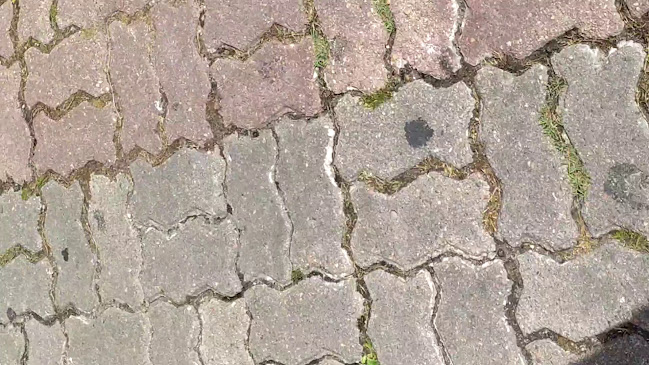 Piedras 206, 11000 Montevideo, Departamento de Montevideo