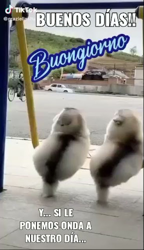 Comentarii opinii despre Patrimonio café