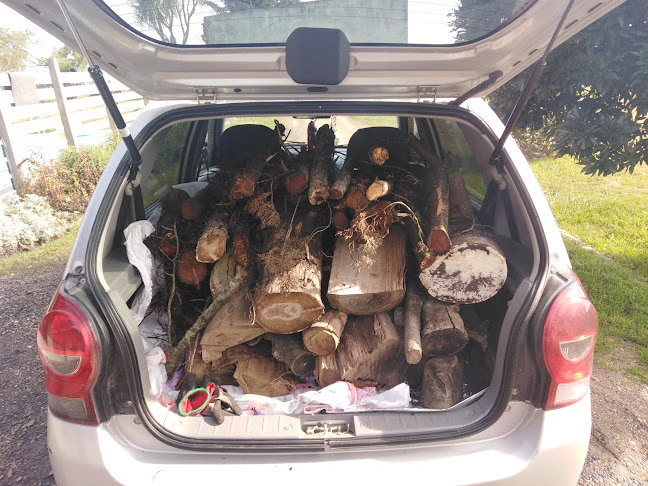 Comercio Sanchez - San José de Mayo