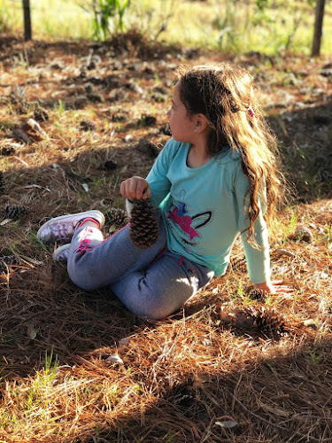 3FM5+2X2, 40000 Rivera, Departamento de Rivera