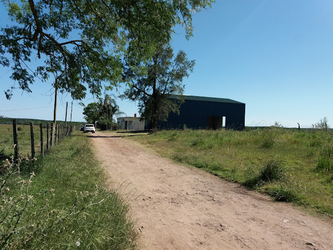 Galpon diego - Gastronomía y hostelería