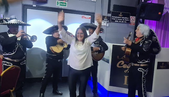 Panadería Verde Olivo