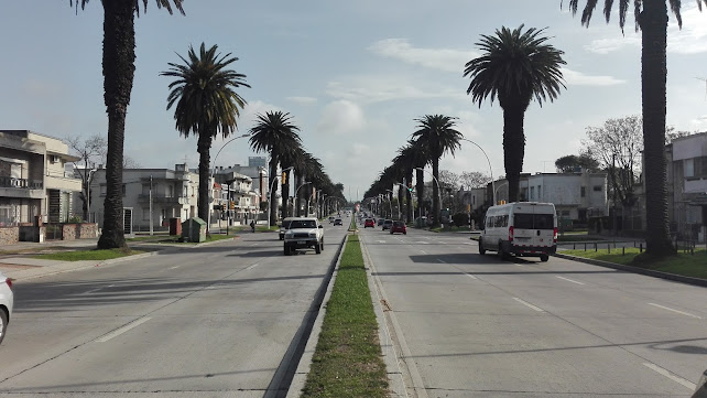 Panaderia Nueva Budapest - Montevideo