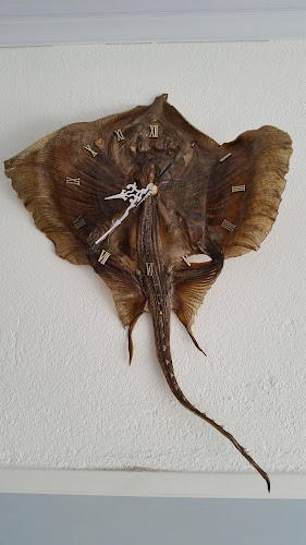 JFFJ+4HR, Wilson Ferreira Aldunate, 97000 Durazno, Departamento de Durazno