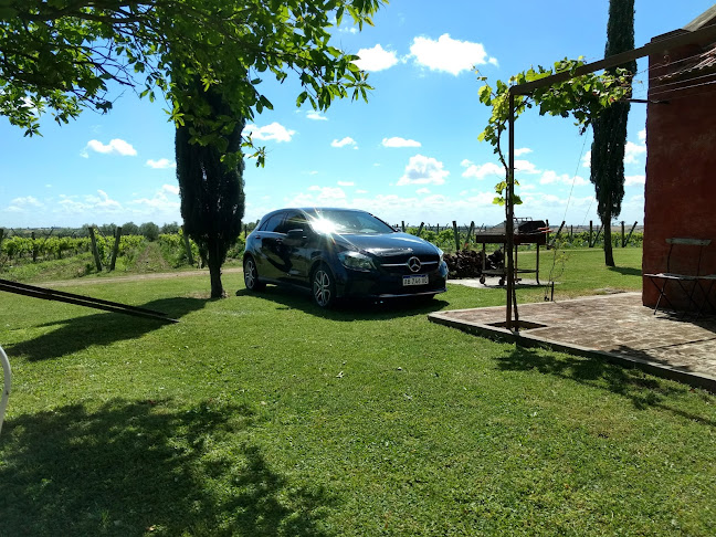 Finca Las Cavas - Carmelo