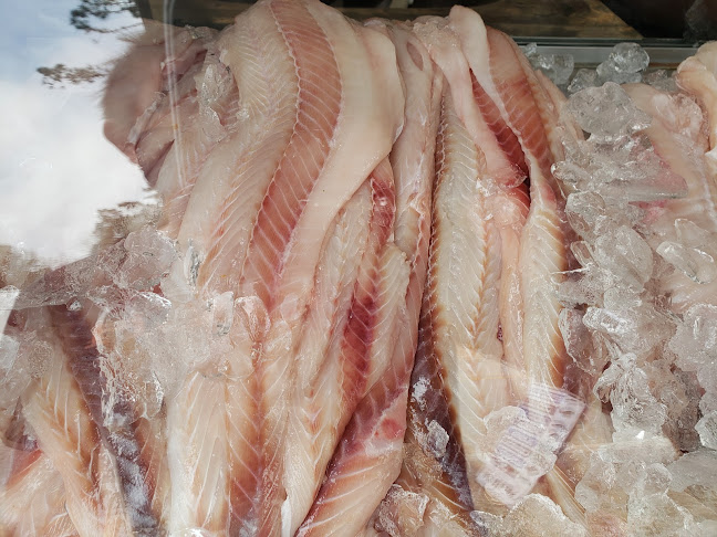 Comentarii opinii despre Pescadería Valeria Lobato