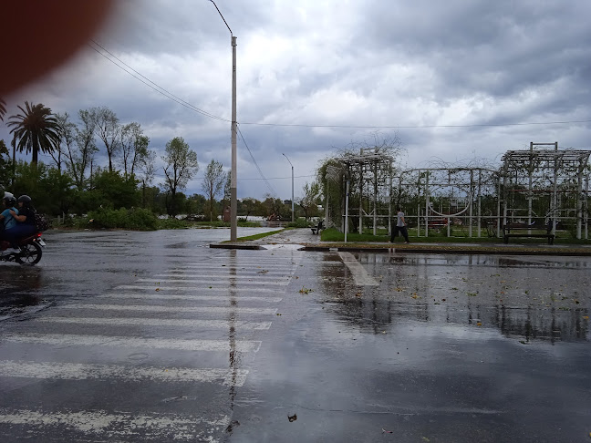 QX2C+MH8, Padre Manuel A. de Castro Y Careaga, 75000 Mercedes, Departamento de Soriano