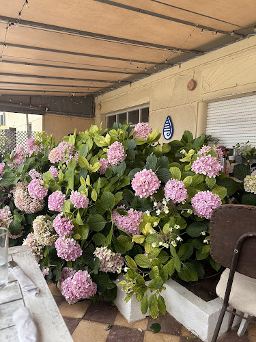 Comentarii opinii despre Casa Dulce