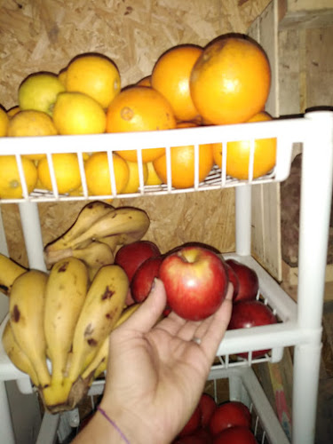 Provisión Danika - Rocha