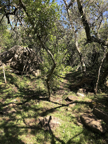 Opinii despre San Carlos în Canelones - Gastronomía y hostelería