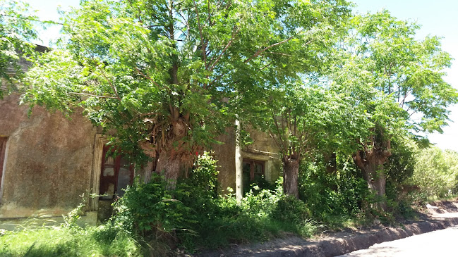 Opinii despre Casa Barreiro în Florida - Gastronomía y hostelería