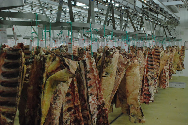 Opinii despre Abasto Municipal în Artigas - Gastronomía y hostelería