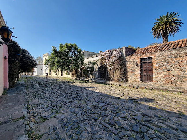 Freddo - Gastronomía y hostelería