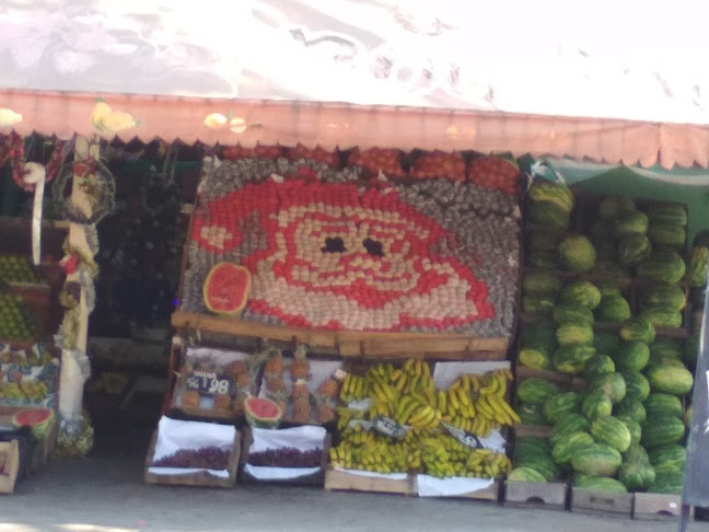 Comentarii opinii despre Productor