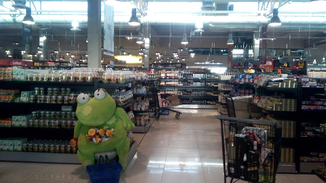 Fragola - Gastronomía y hostelería