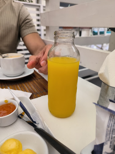 Opinii despre Fragolina în Montevideo - Gastronomía y hostelería