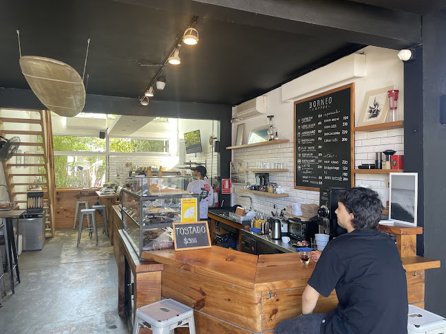 Borneo Coffee - La Barra