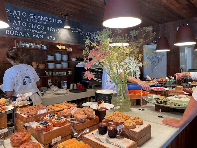 Mostrador Santa Teresita - Maldonado