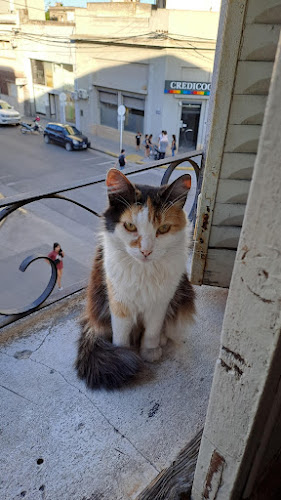 Pase y lleve - Gastronomía y hostelería