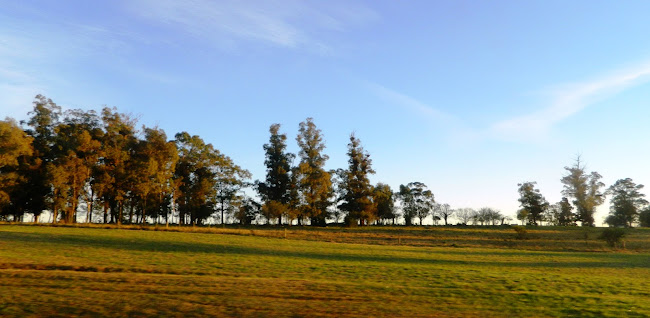 MJ8Q+CGJ, Cam. Corrales de Abasto, 70200 Rosario, Departamento de Colonia