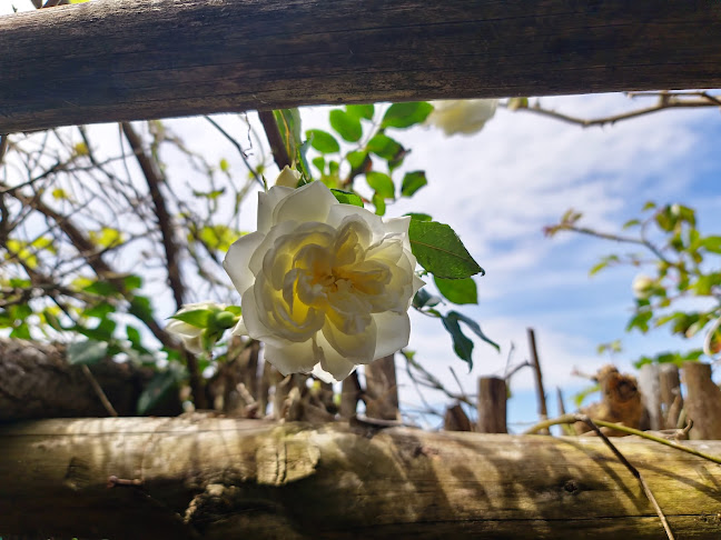 Comentarii opinii despre Lo de Joselo