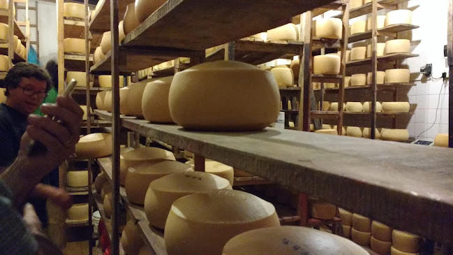 Comentarii opinii despre Hostal Punta Pueblo