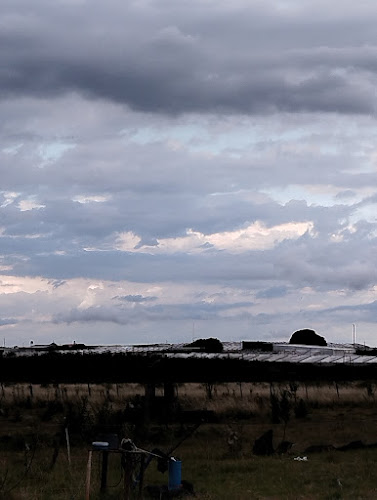 Grido San Jacinto - Gastronomía y hostelería