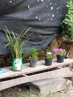 Autoservicio Billy Y MANDY - Gastronomía y hostelería