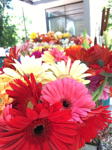 3VV2+62G, 11300 Montevideo, Departamento de Montevideo