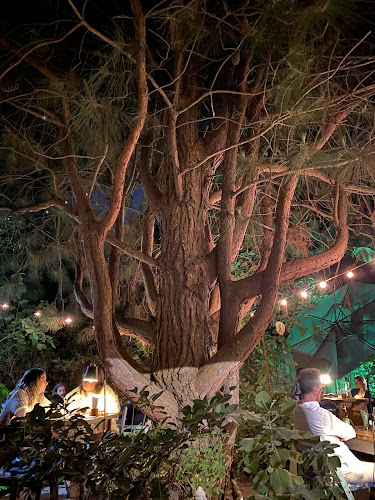 Raíz Cocina Saludable - Gastronomía y hostelería