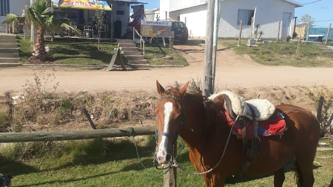 EL PALANQUE Provisión 24HS - Maldonado