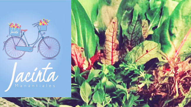 Jacinta Resto Manantiales - Gastronomía y hostelería