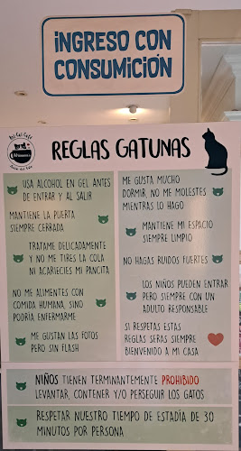 ADRIANUZCA'S CAT CAFÉ ☕🐈 - Punta del Este