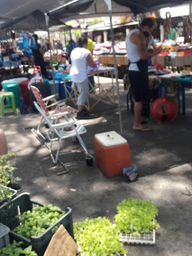 5QVG+57G, Eduardo Raiz, 12500 Montevideo, Departamento de Montevideo