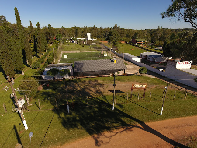 Cancha Apolo - Rivera