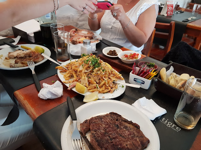 El tigre - Montevideo