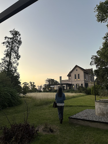 Las Liebres - Restaurante | Hotel - Col. del Sacramento