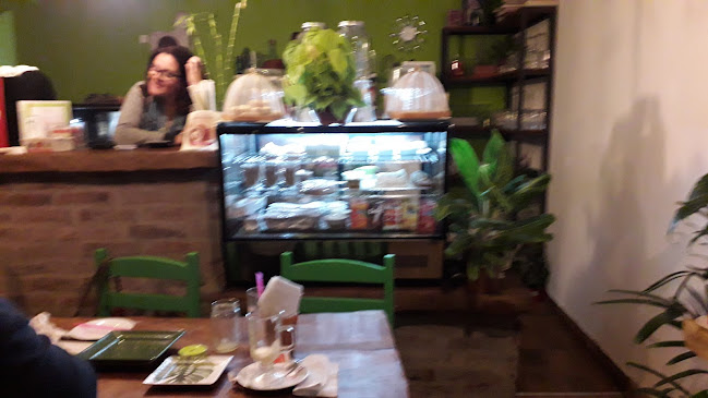 Caffe vivero motivos - San José de Mayo