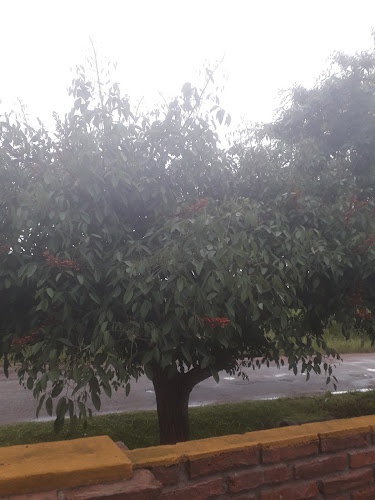 Comedor Lo De Monica - Nueva Palmira