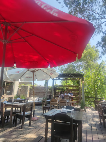 Comentarii opinii despre Indico Pizza Bar