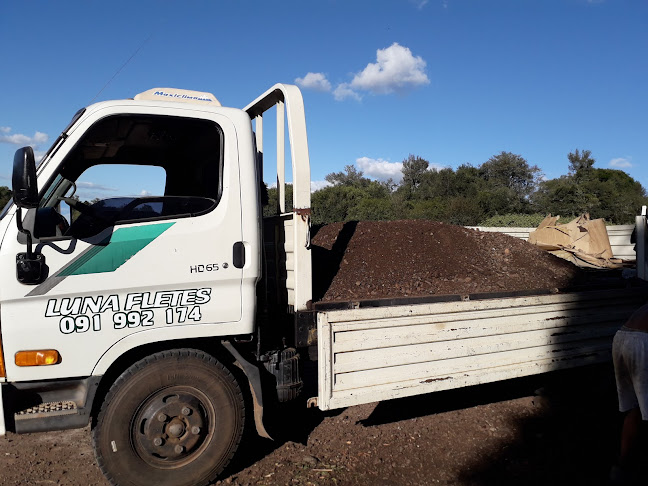 Pool Quique Luna - Gastronomía y hostelería