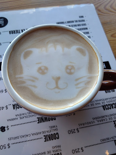 La Isla Café - Gastronomía y hostelería