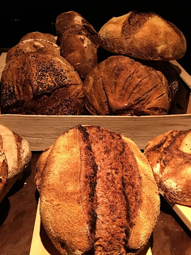 Comentarii opinii despre Tepache Cocina