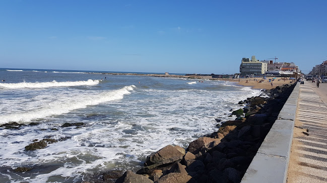 Viva la Vida - Gastronomía y hostelería