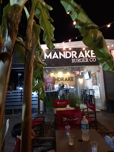 Mandrake - Gastronomía y hostelería