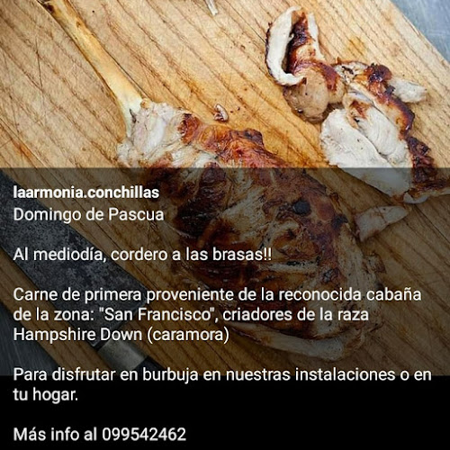 Opinii despre La Armonía în Conchillas - Gastronomía y hostelería
