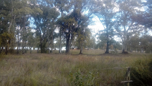 Comentarii opinii despre Restaurante Parrillada La Tradición
