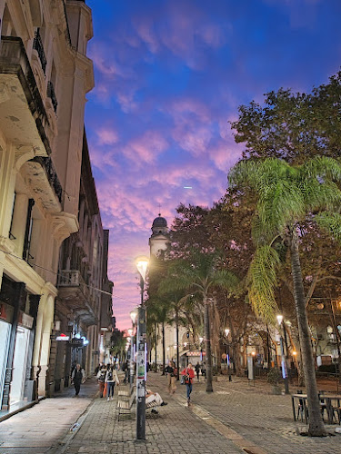 Comentarii opinii despre Feria de antigüedades de Plaza Constitución