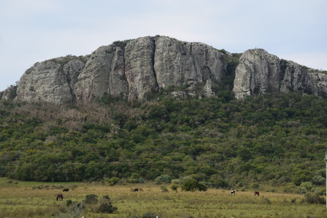 Comentarii opinii despre Parador Arequita